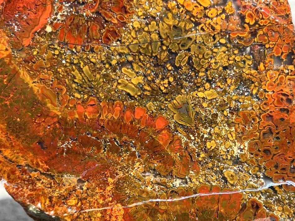 East Java Plume Agate - Indonesia 3.75"x3" High Grade Lapidary Rough Slab