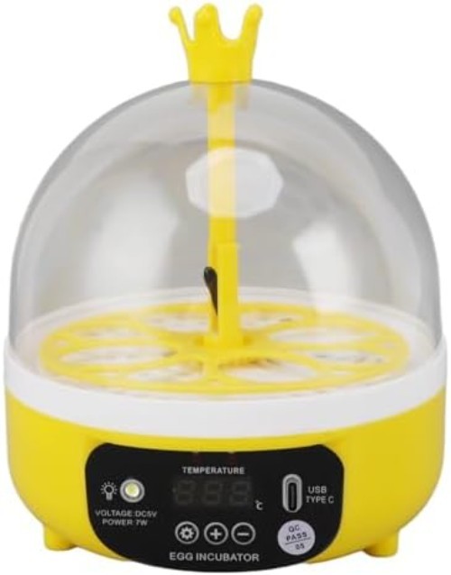 Mini Egg Incubator, Temperature Control Digital Incubators, 4 Eggs Candler Po...