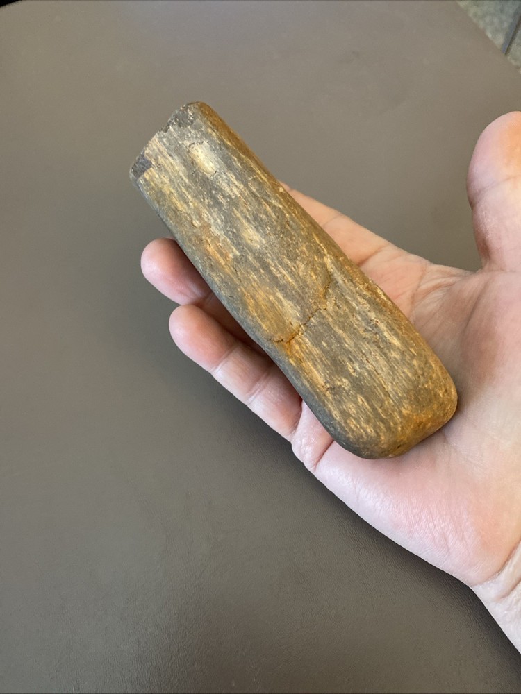 Petrified Wood