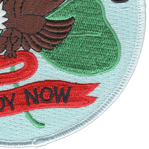 FF-1070 USS Downes Patch