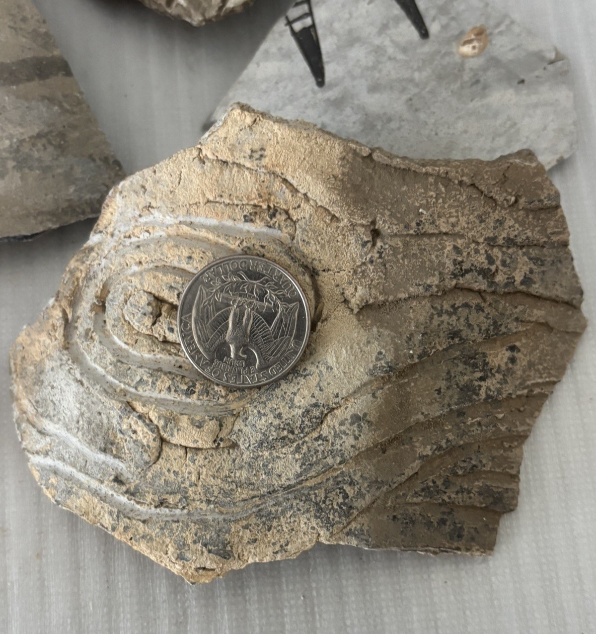 Lot of 7 Large Ancient Anasazi Native American Pottery Shards Arizona L5-D