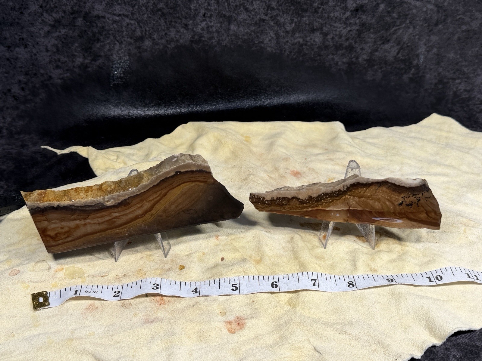 Dendritic Biggs Jasper Slab Set, Lot #307