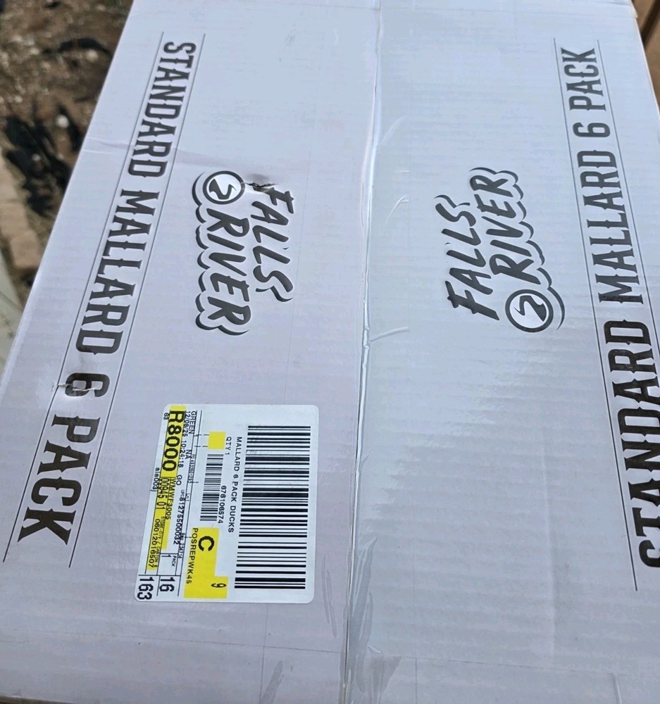 Falls River Standard Mallard Decoys 6 Pack