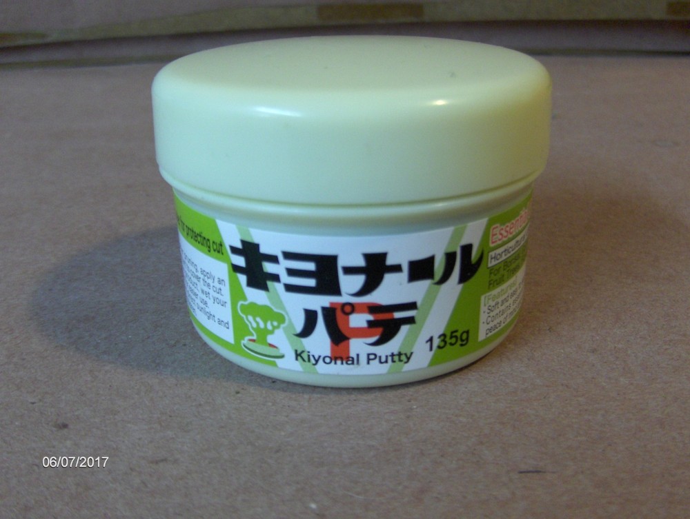 Bonsai Cut Paste