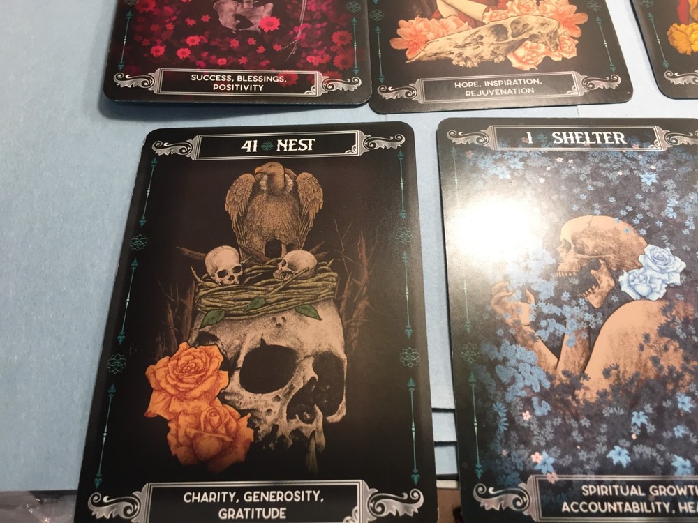 Earth & Bone Oracle with Guidebook