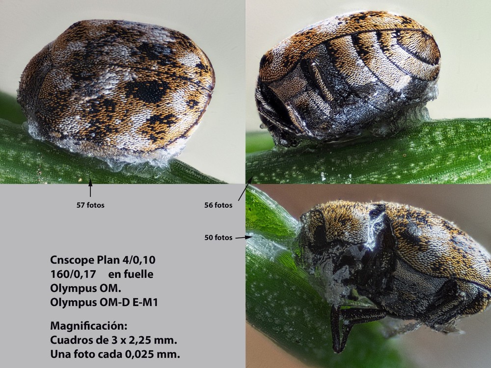 Biological Microscope 195 4x Plan Achromatic Objective lens