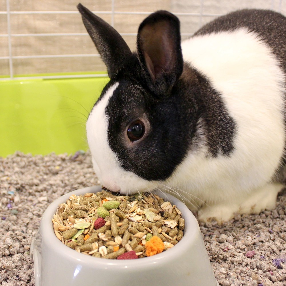 MENU Premium Rabbit Food 4 lb Bag