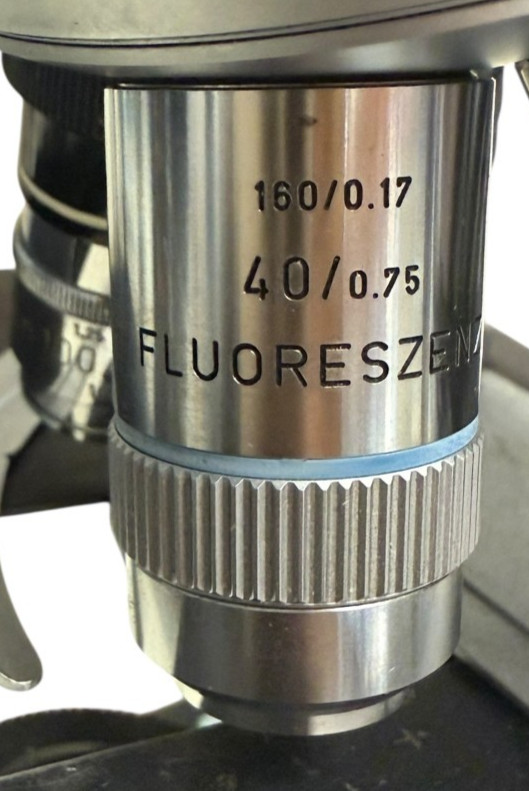 Leitz Laborlux D Microscope Trinocular Oil 50x DPlan Illuminator Germany