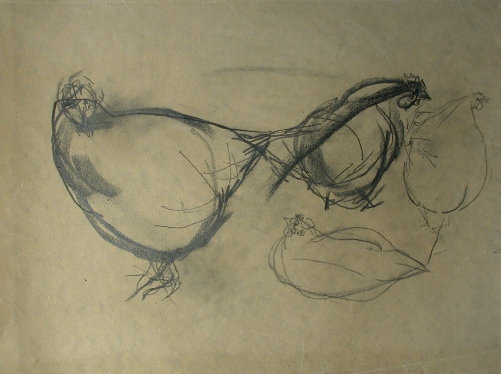 From Estate Leinfellner - 4 Chickens