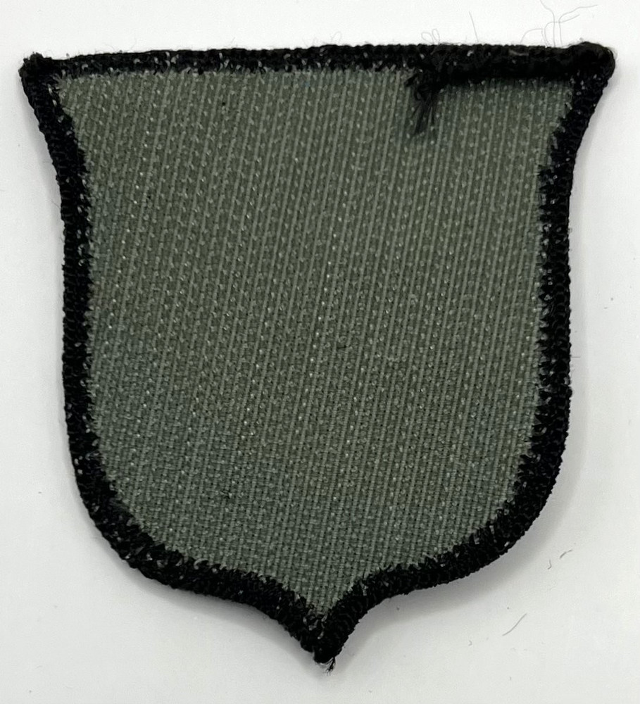 US Army 101st Airborne Division Screaming Eagles Patch