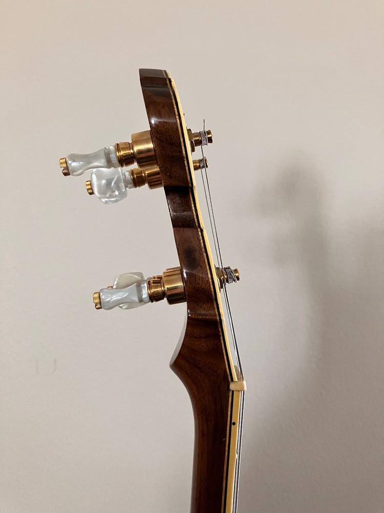 Baldwin ODE 4-Str Resonator Banjo 6501 D-Series Tenor
