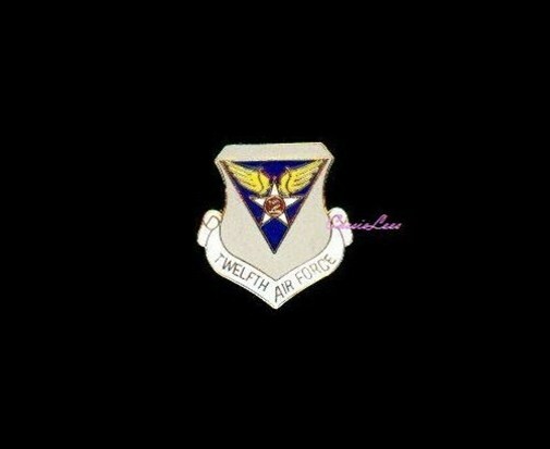 USAF 12th Air Force Shield  + a custom promo pin