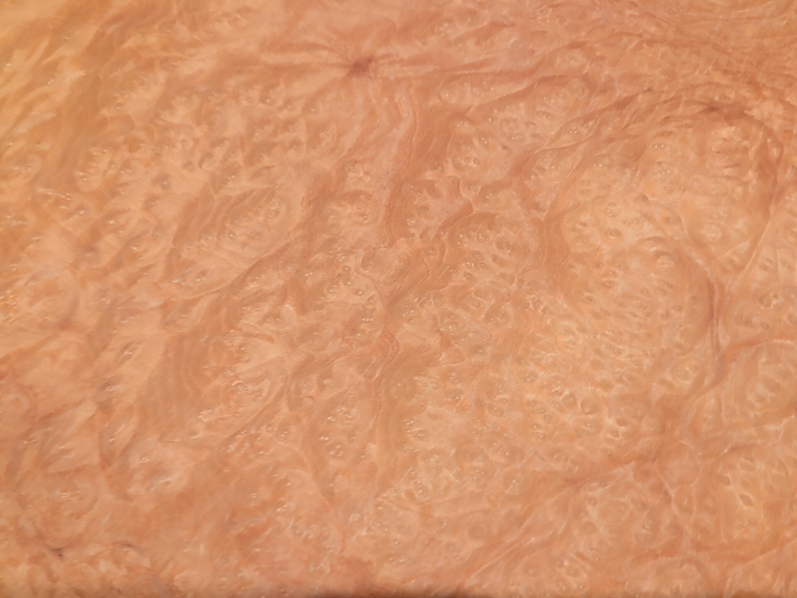 Madrone burl veneer 14 3/4" x 15 1/2" each, 2 pieces wood 1/42" raw