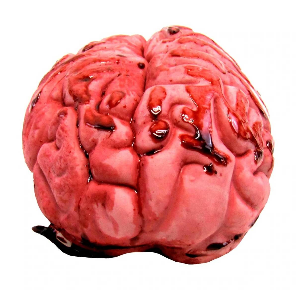 LifeSize Fake Zombie BLOODY BRAIN BUTCHER TRAY Human Organ Halloween Horror Prop