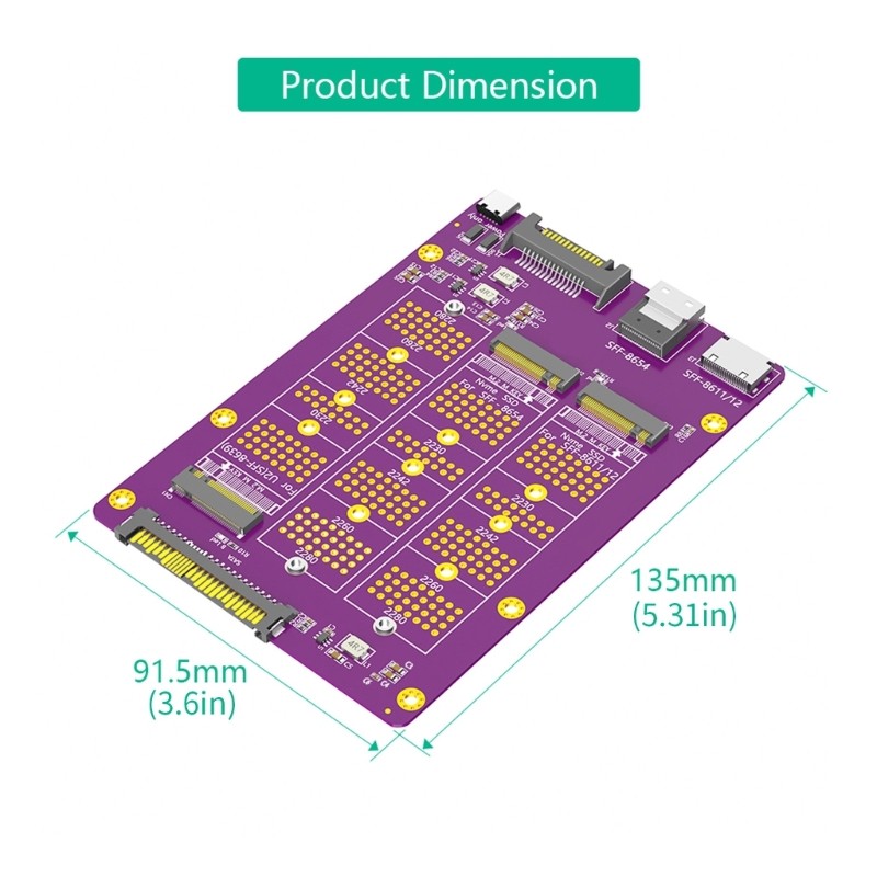 Multiple Interfaces SSDs Adapter Card for IT Professionals and DIY Enthusiasts