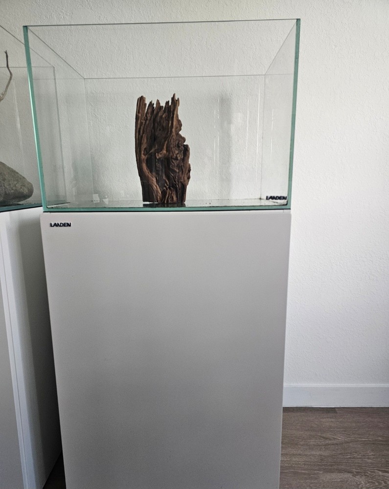 Acuario De 30 Gallon