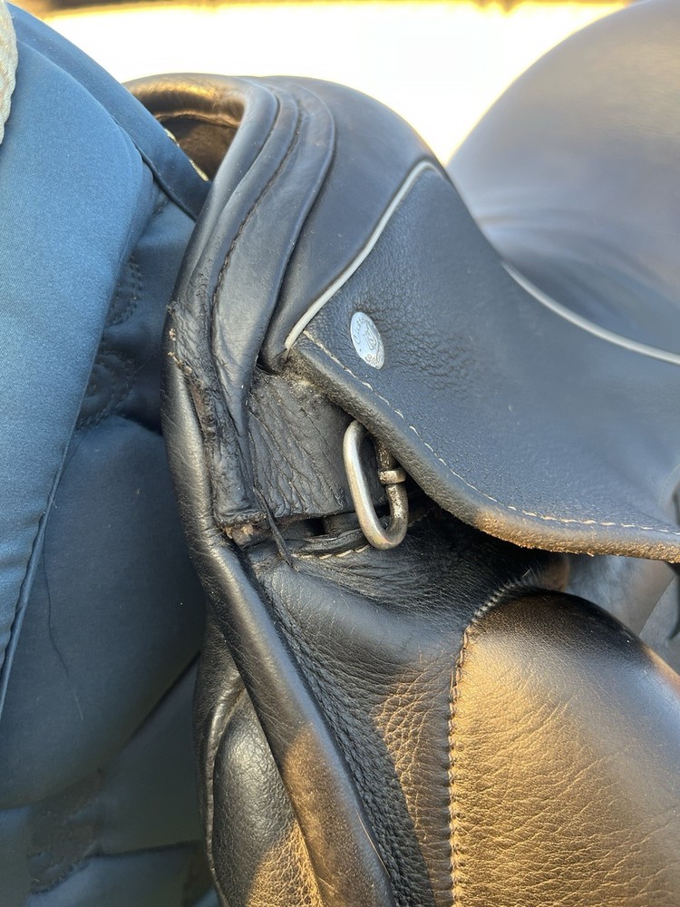 2017 Custom Saddlery Icon Star