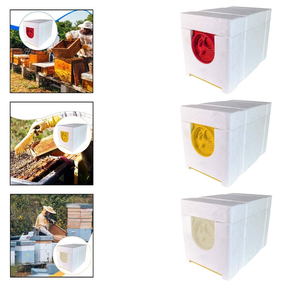 Bee Breeding Box, Mating, Hive, Breeding, PP Insulating Foam with Removable