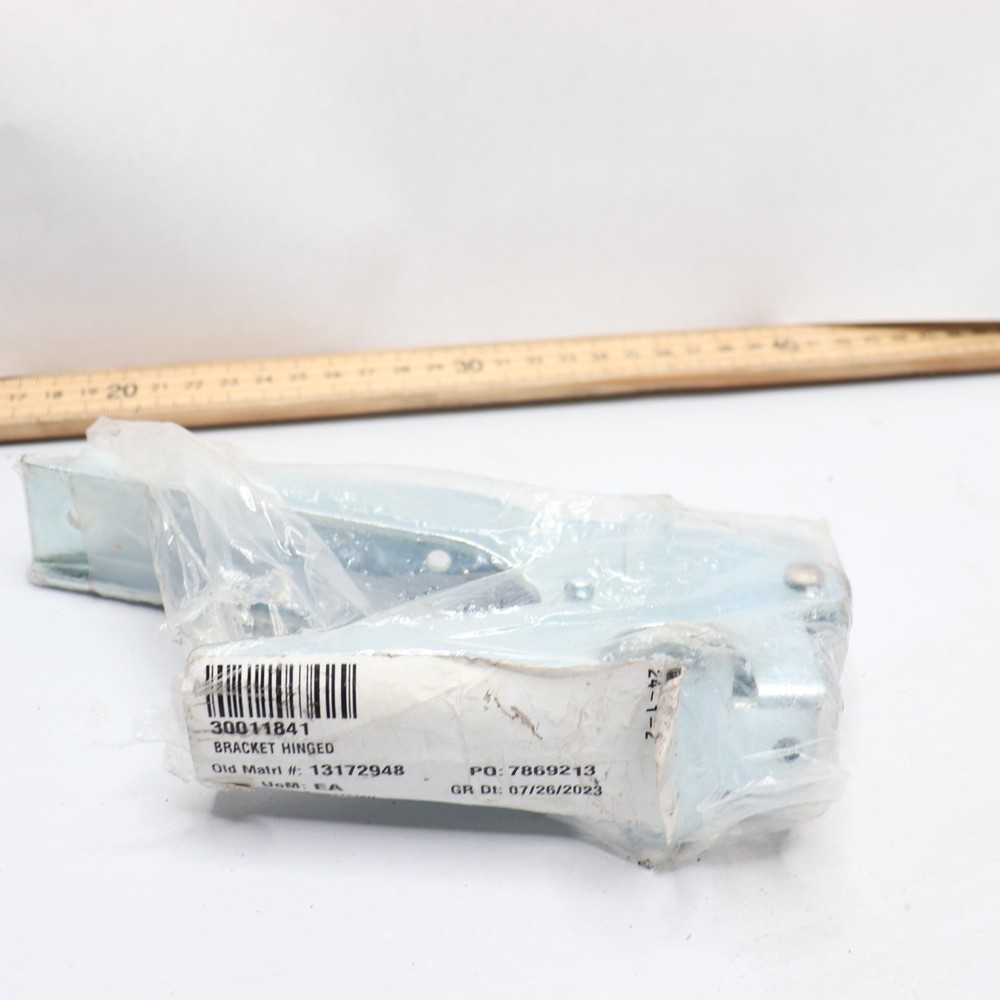 Bracket Hinge 30011841