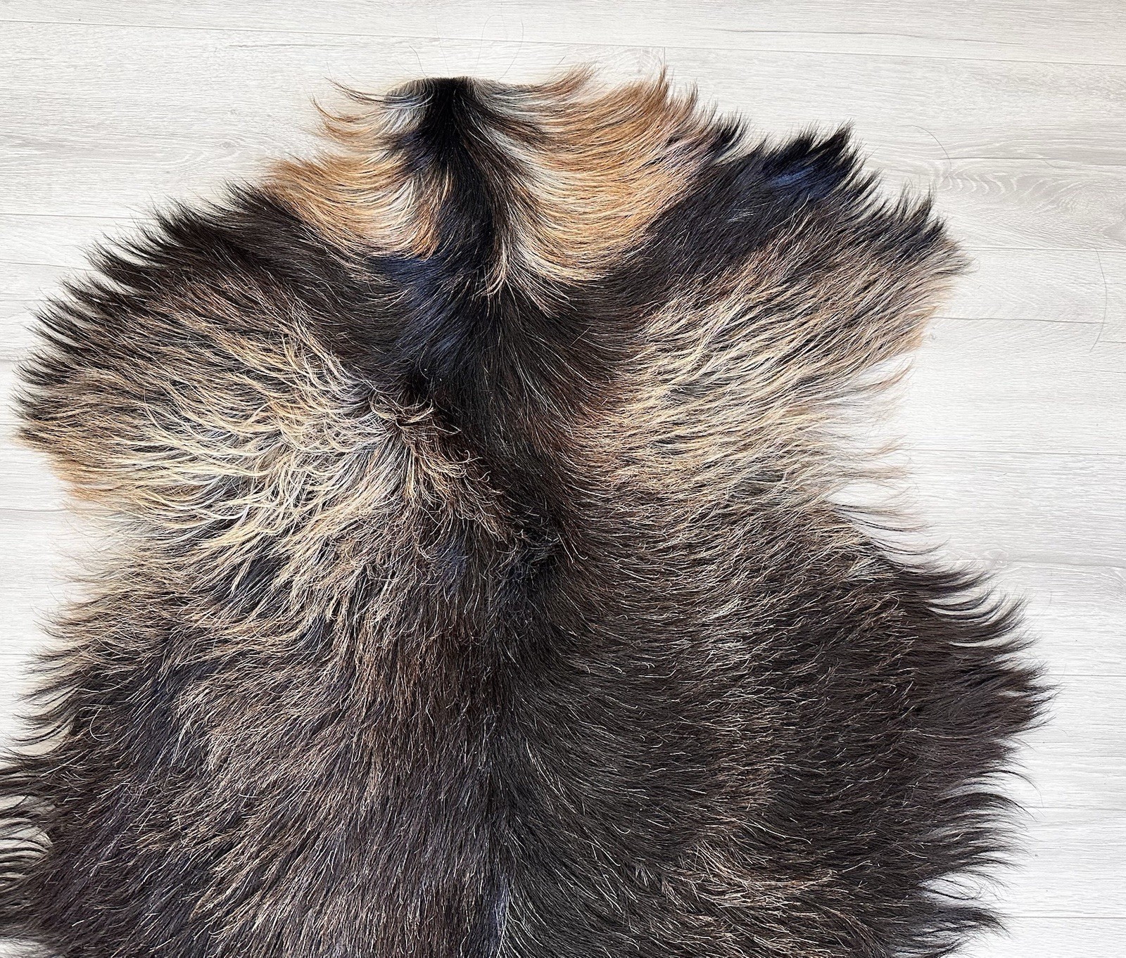 %100 Natural Goatskin Rug,goatskin Pelt,goatskin Carpet,Color,black.brown,camel