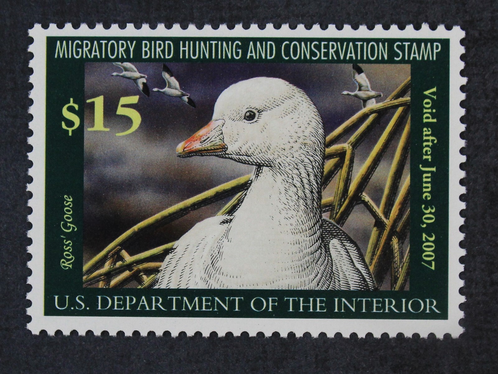 CKStamps : US Stamps Scott #RW73 $15 Duck Mint NH OG 2006 $25