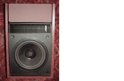 BOSE 301 (all series) 8" Foam Surround Speaker Woofer Repair Kit