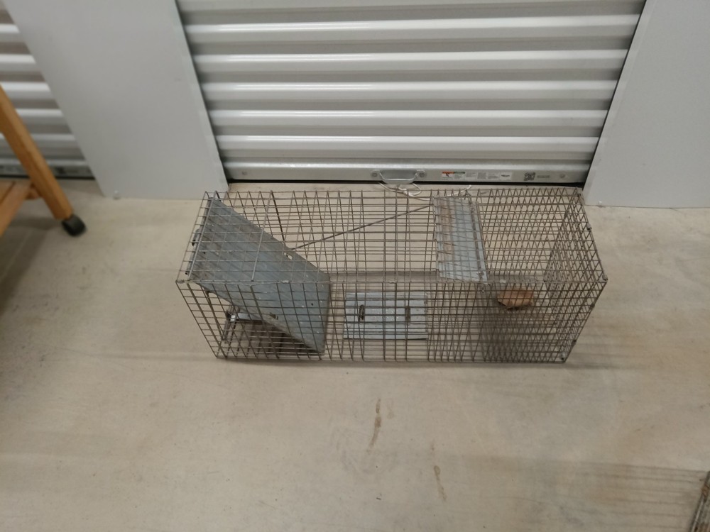 Metal Wire Catch Trap Cage Reusable Silver for Rat Mouse Squirrel