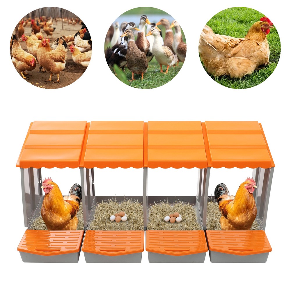 Chicken Laying Box Modern 4-Compartment Chicken Nesting Box with Egg Collection