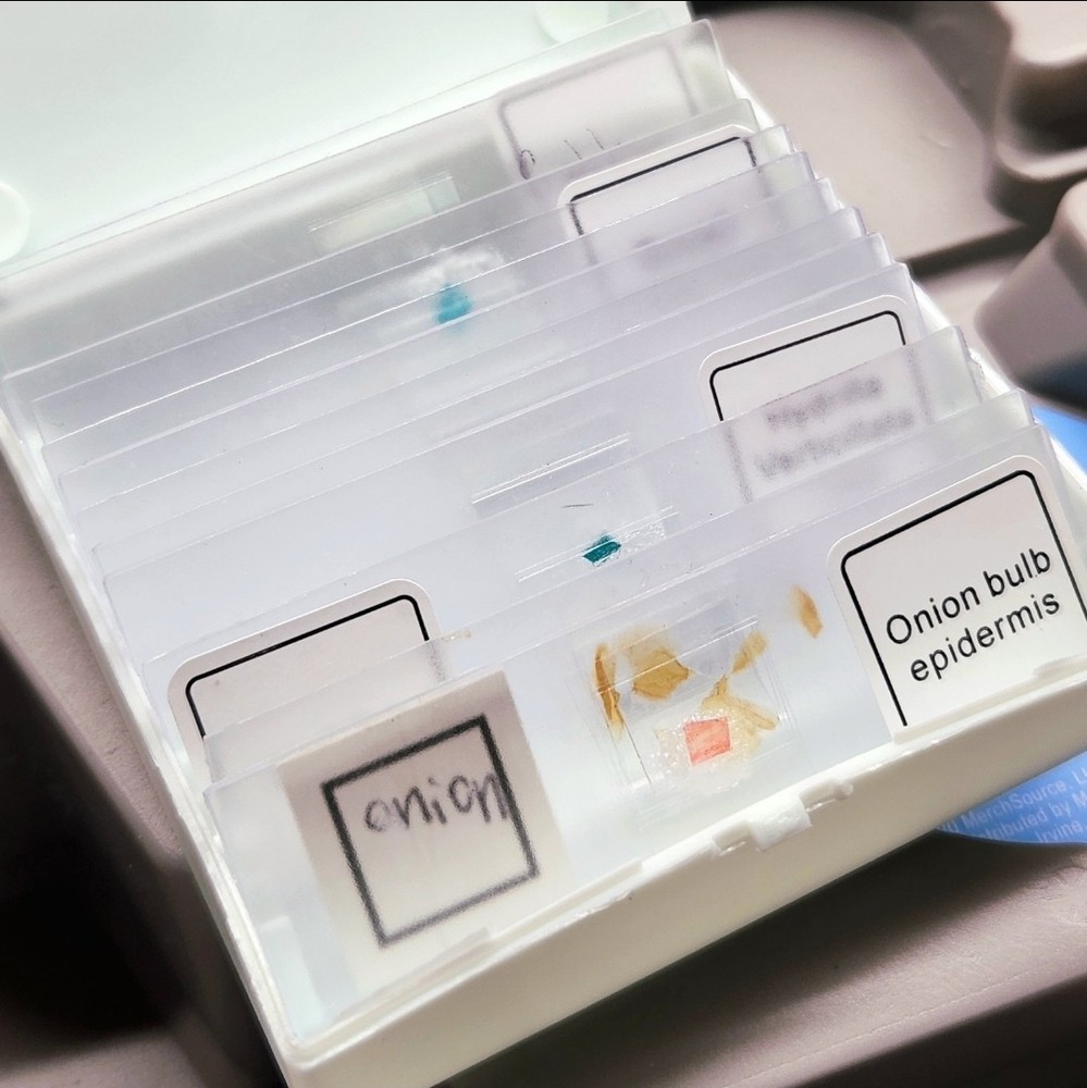 Discovery #Mindblown Microscope Set STEM Activity Slides Test Tubes Tools Pietri