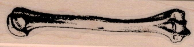 Humerus Bone 1 x 3 1/2" Rubber Stamp, Bone Stamp, Halloween Stamp