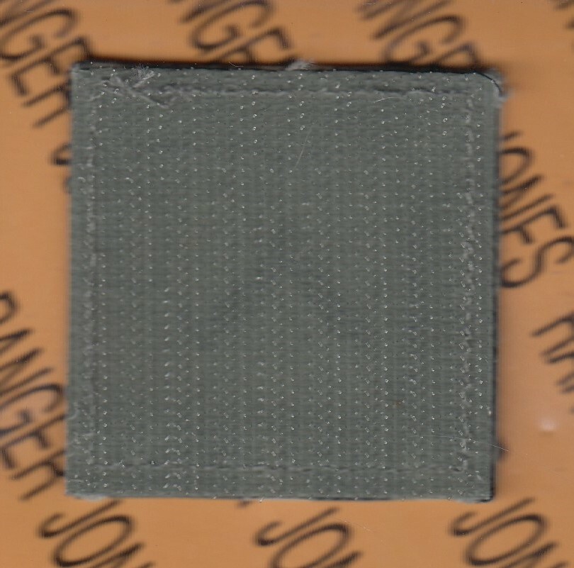 US ARMY Enlisted PVT PRIVATE E-2 ACU ~2" rank chest w/ hook patch
