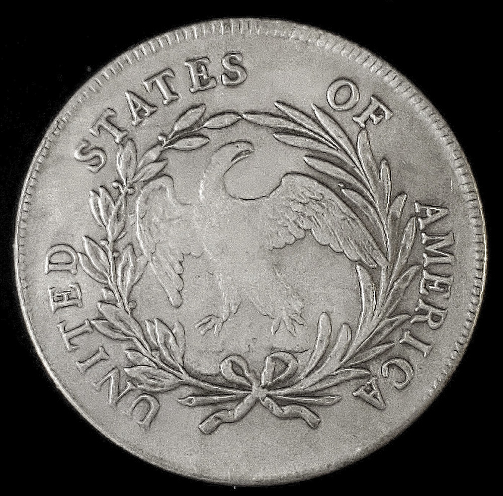 One 1795 Buxomly Goddess-eagle Numismatic Commemorative Tribute Coin