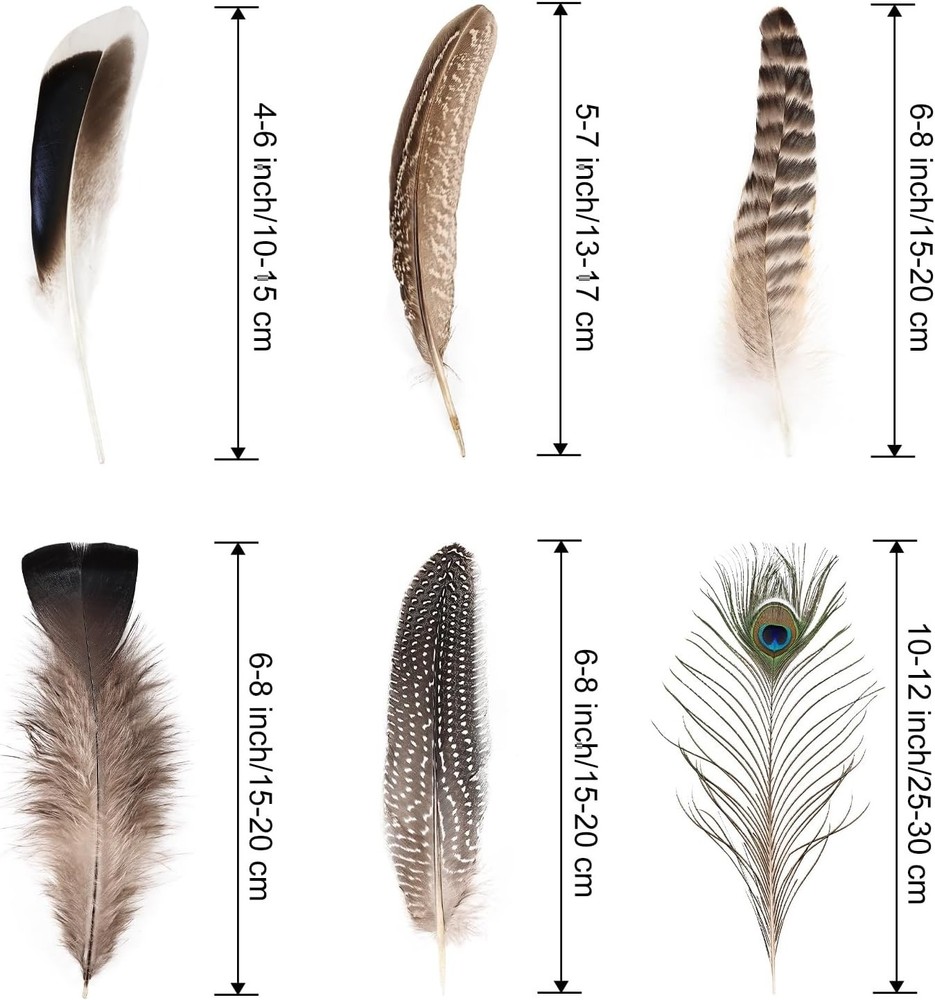 Natural Feathers Bulk 55pcs Assorted 6 Styles Including Peacock Feathers