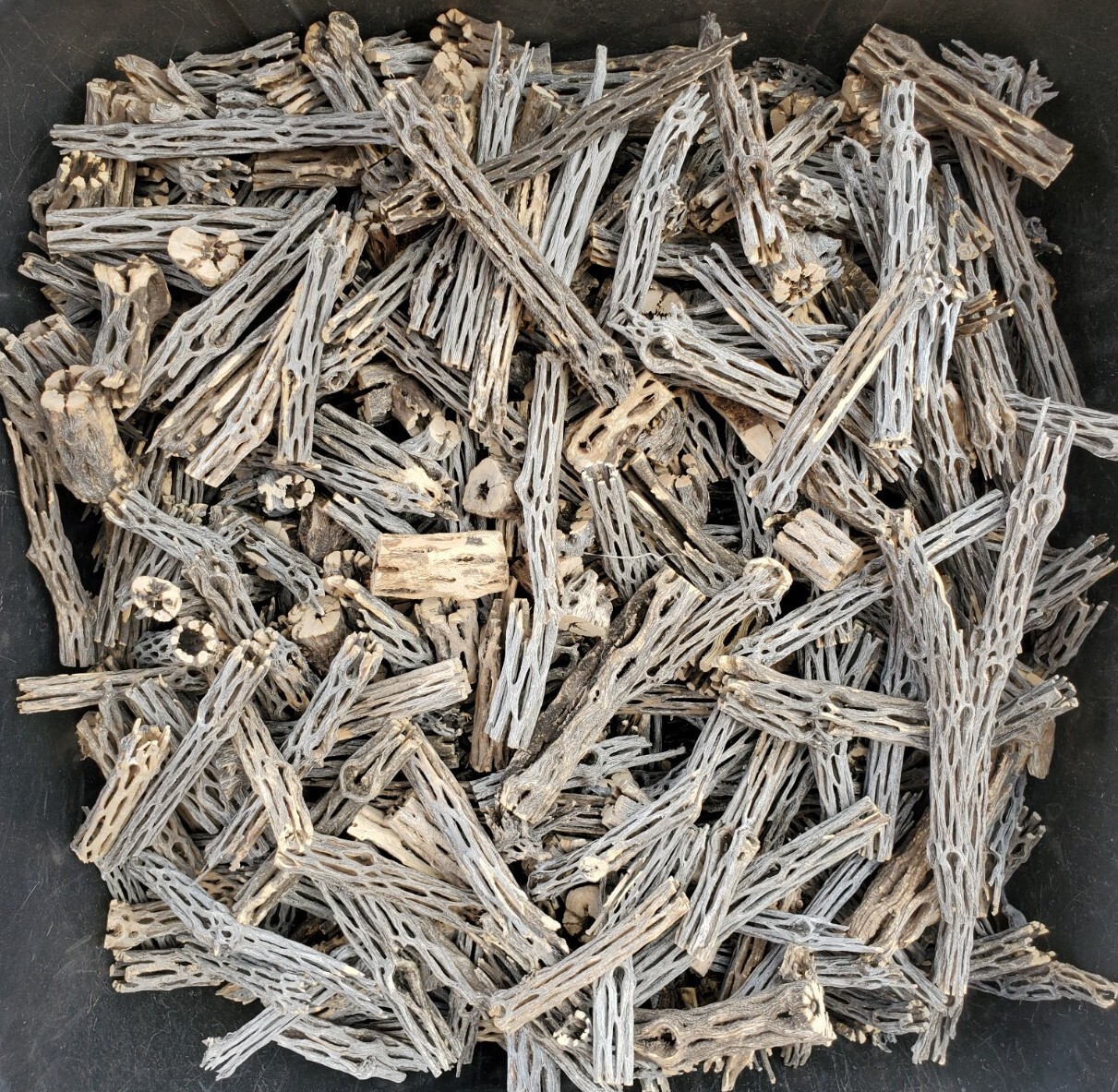 2+ LBS CHOLLA Wood CUTOFFS | Whole Pieces Split Halves Bits | Aquarium, Crafts