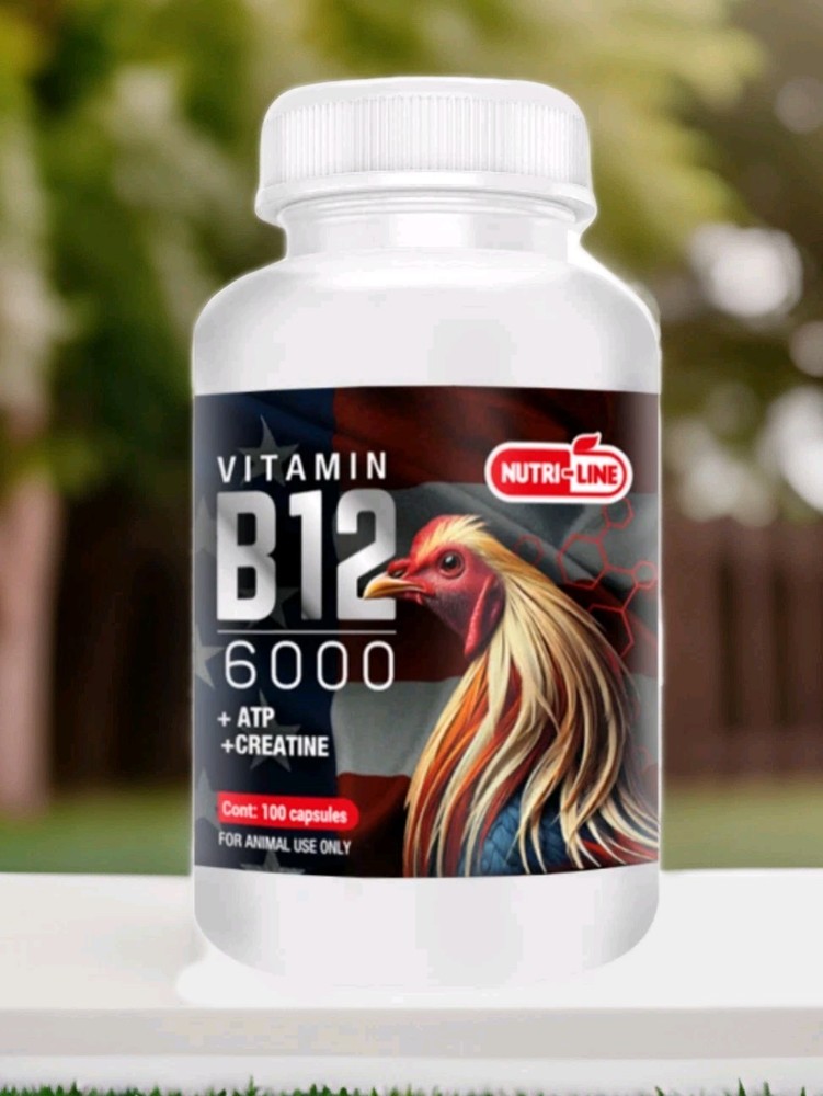 B12 6000 100 Capsules (Para Gallos)