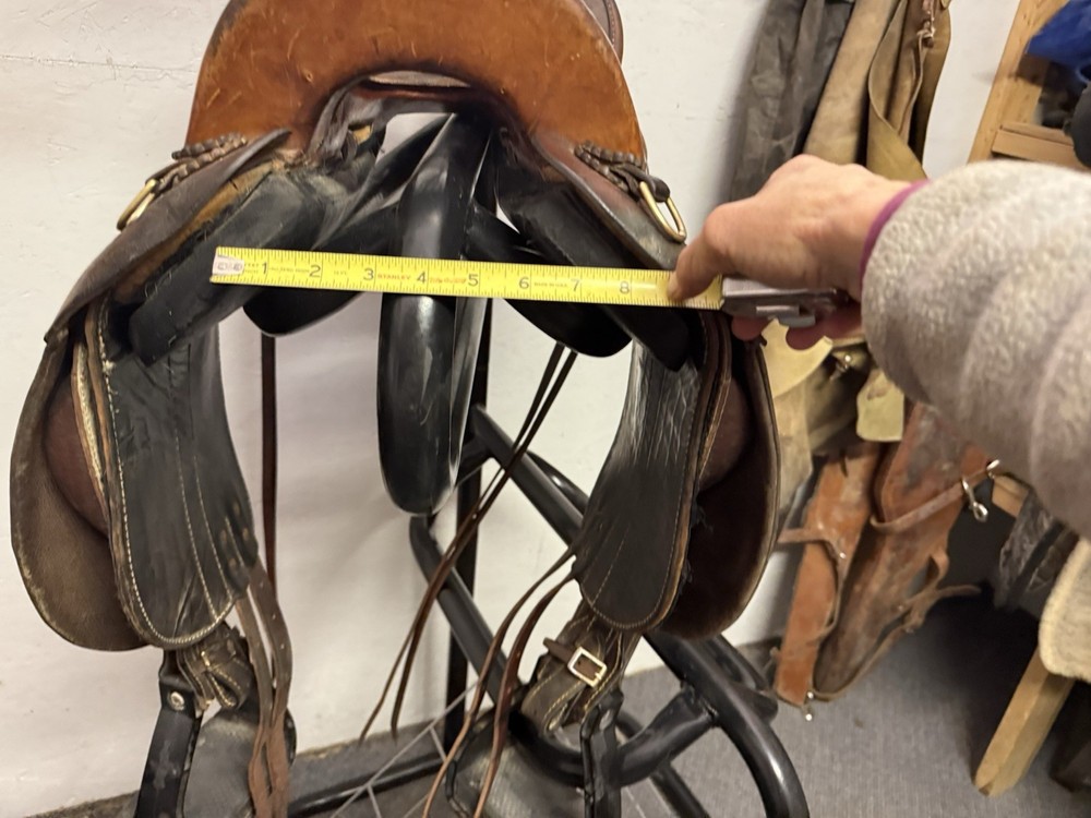 Specialized Saddles 15”.