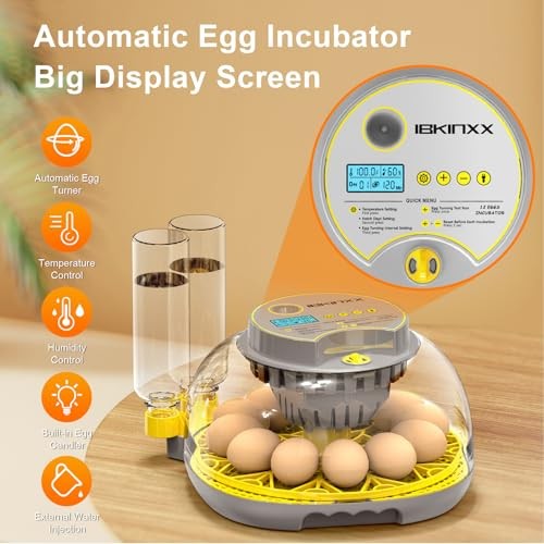 Incubator for Hatching Eggs-12 Egg Capacity, 2026 Newly Upraded Automatic Egg