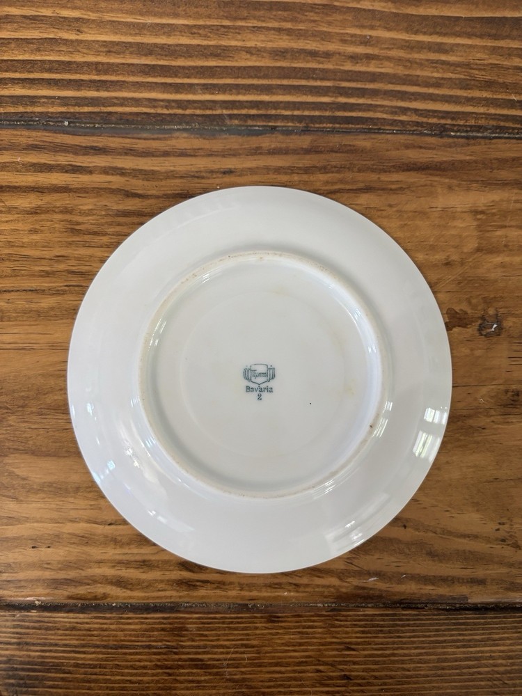 Thomas Porcelain Dinner Set Fruit and Scrolls Pattern Plates Bowls Bavaria