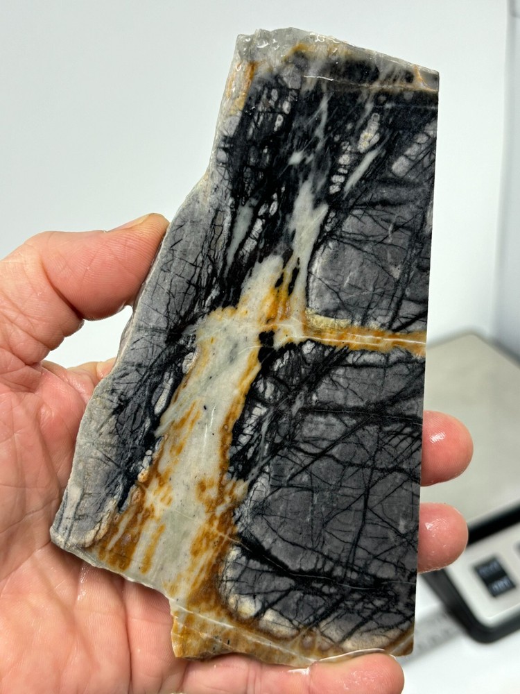 Large Picasso Marble (Jasper) Slab Cabbing Lapidary Utah Combo Ship Avail