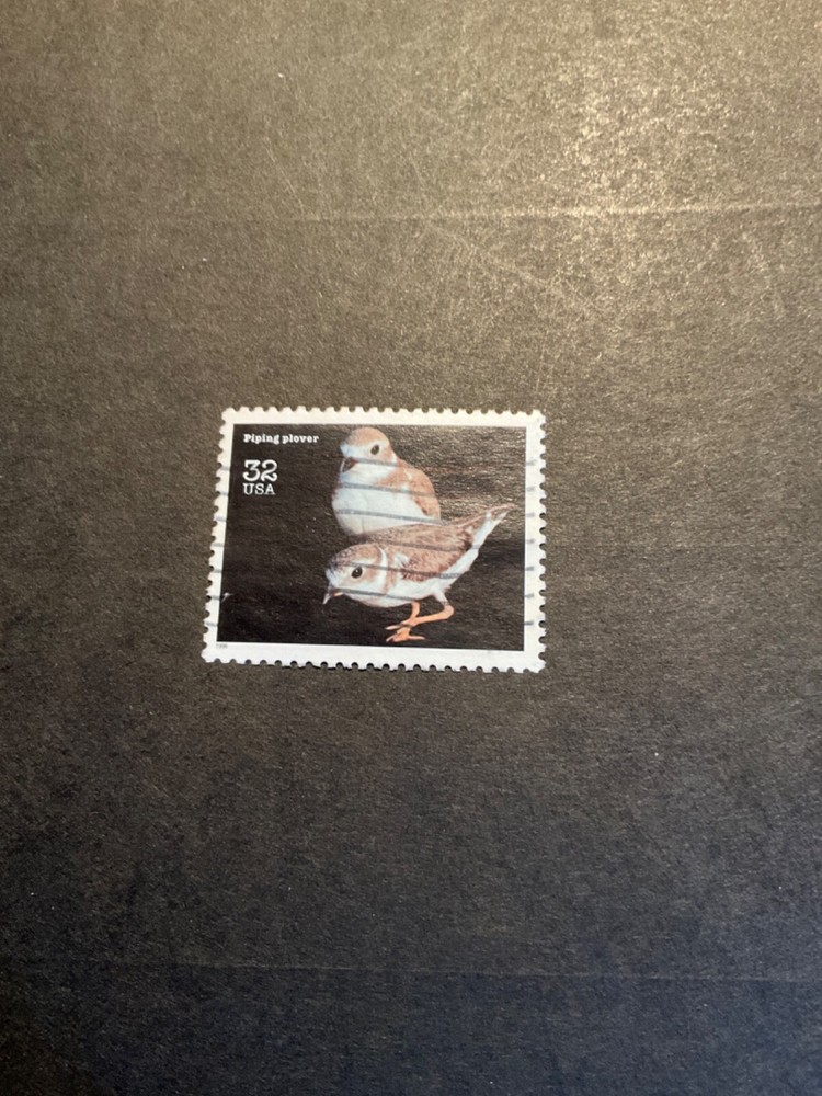 US Scott #3105n used