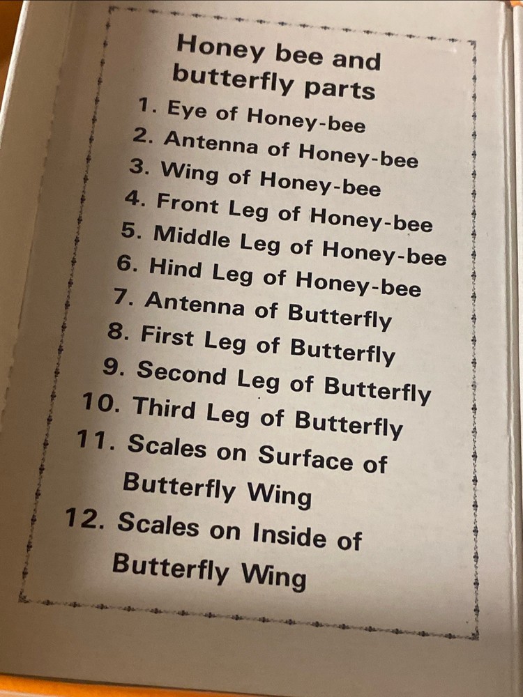 Vintage Sears & Robuck 60 (59) Prepared Educational Specimens Slides Microscope