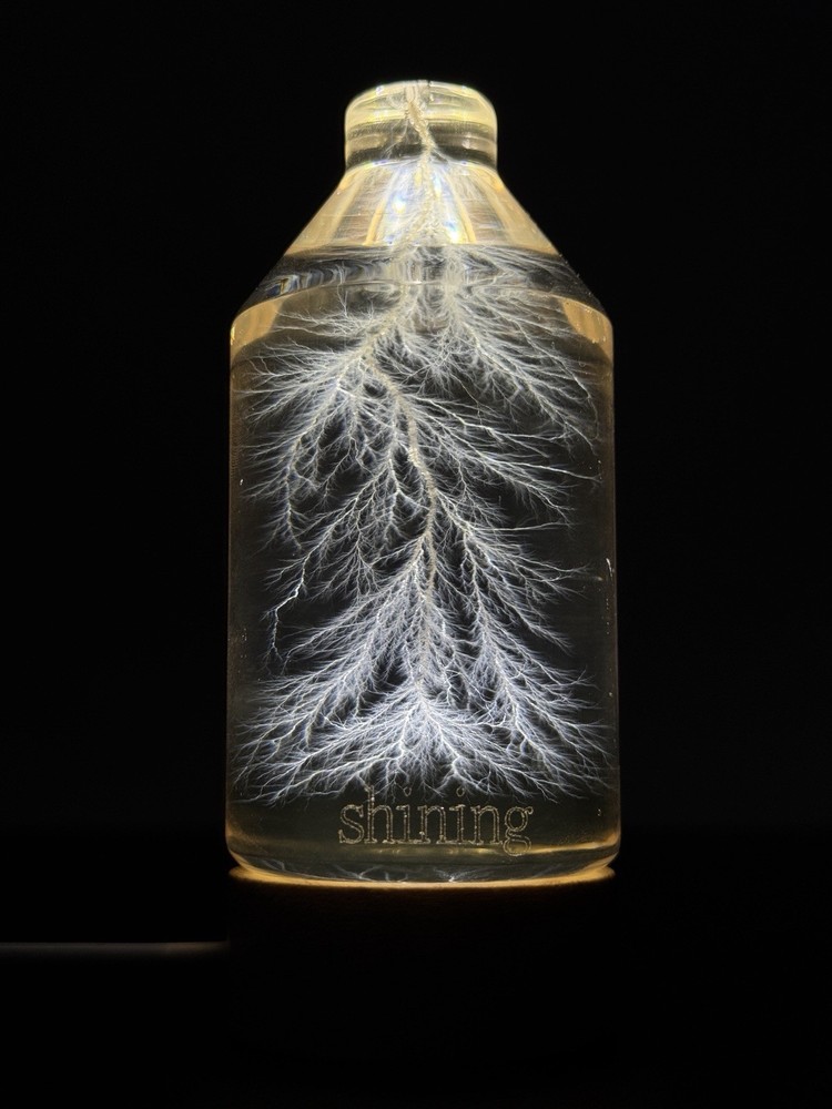 Lichtenberg Figure 2x3 Bottled Lightning