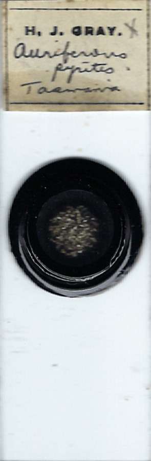 Auriferous Pyrites from Tasmania Petrographic Microscope Slide by H. J. Gray