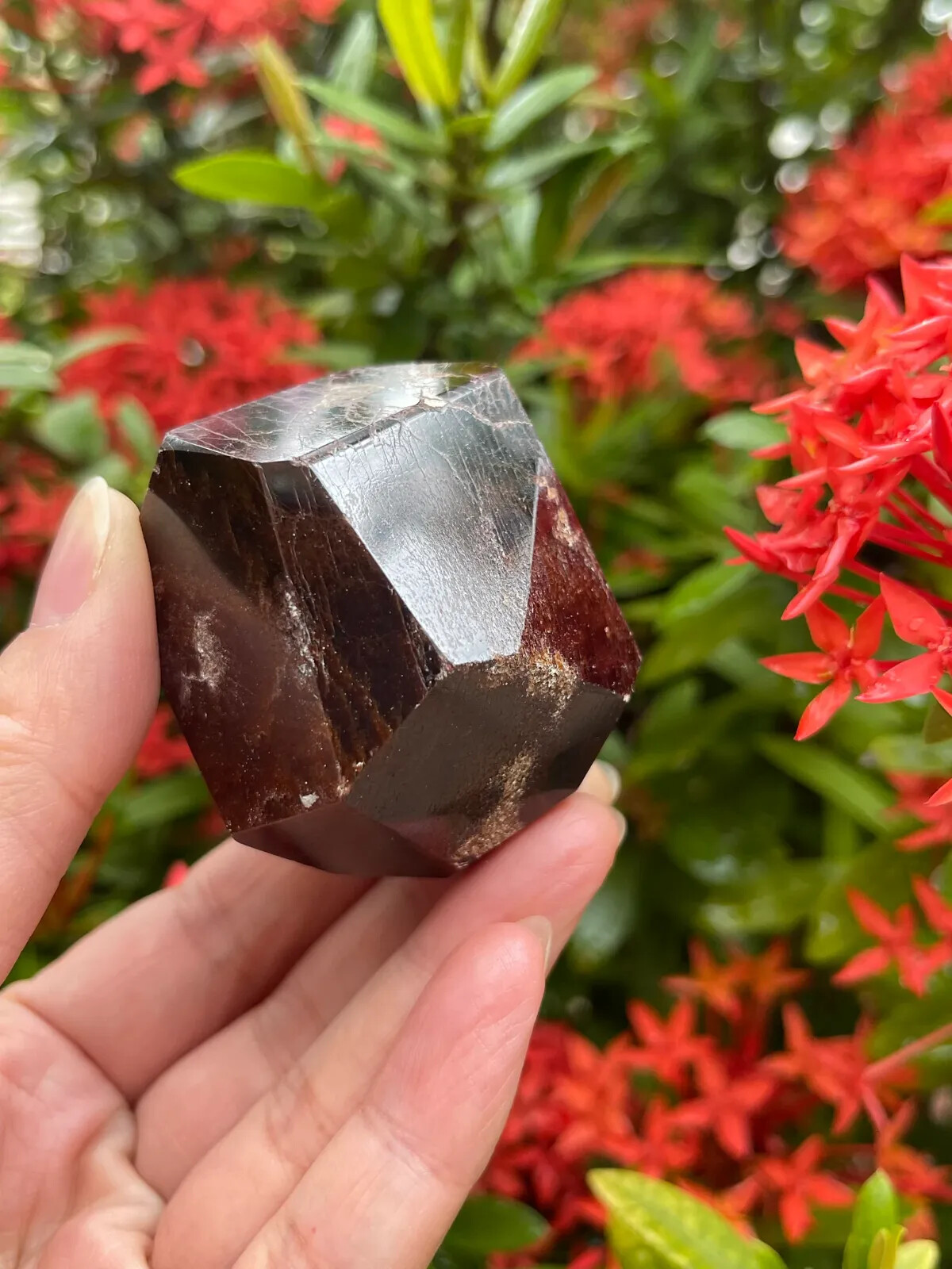 Extra Large Garnet 8 Sides Polished,1.75 to 3" Polished Almandine Garnet Faceted