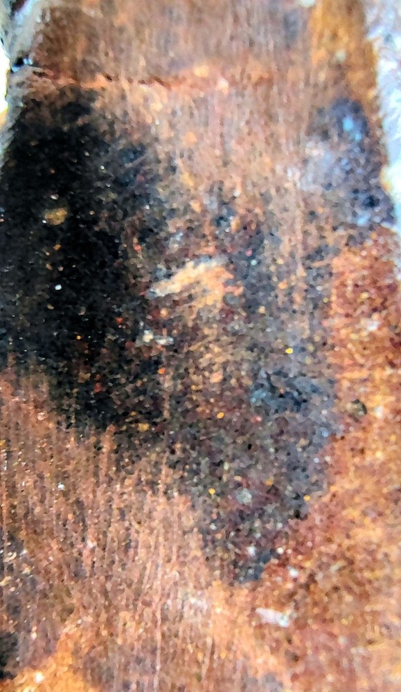 Utah Dinosaur Bone Fossil -