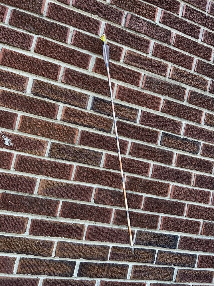 SilverHawk Compound Bow