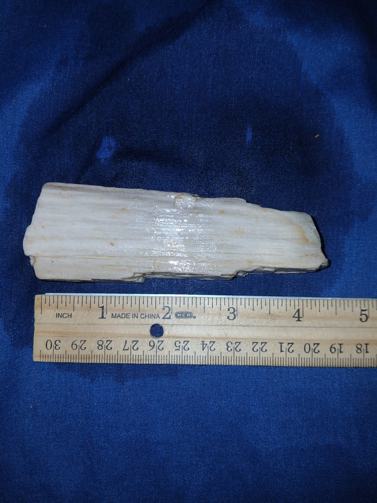4.4 oz Texas Petrified Wood