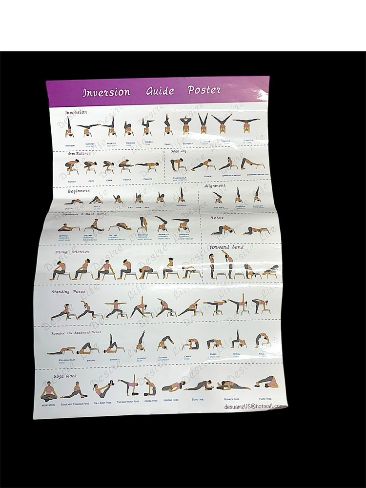 Inversion Guide Poster