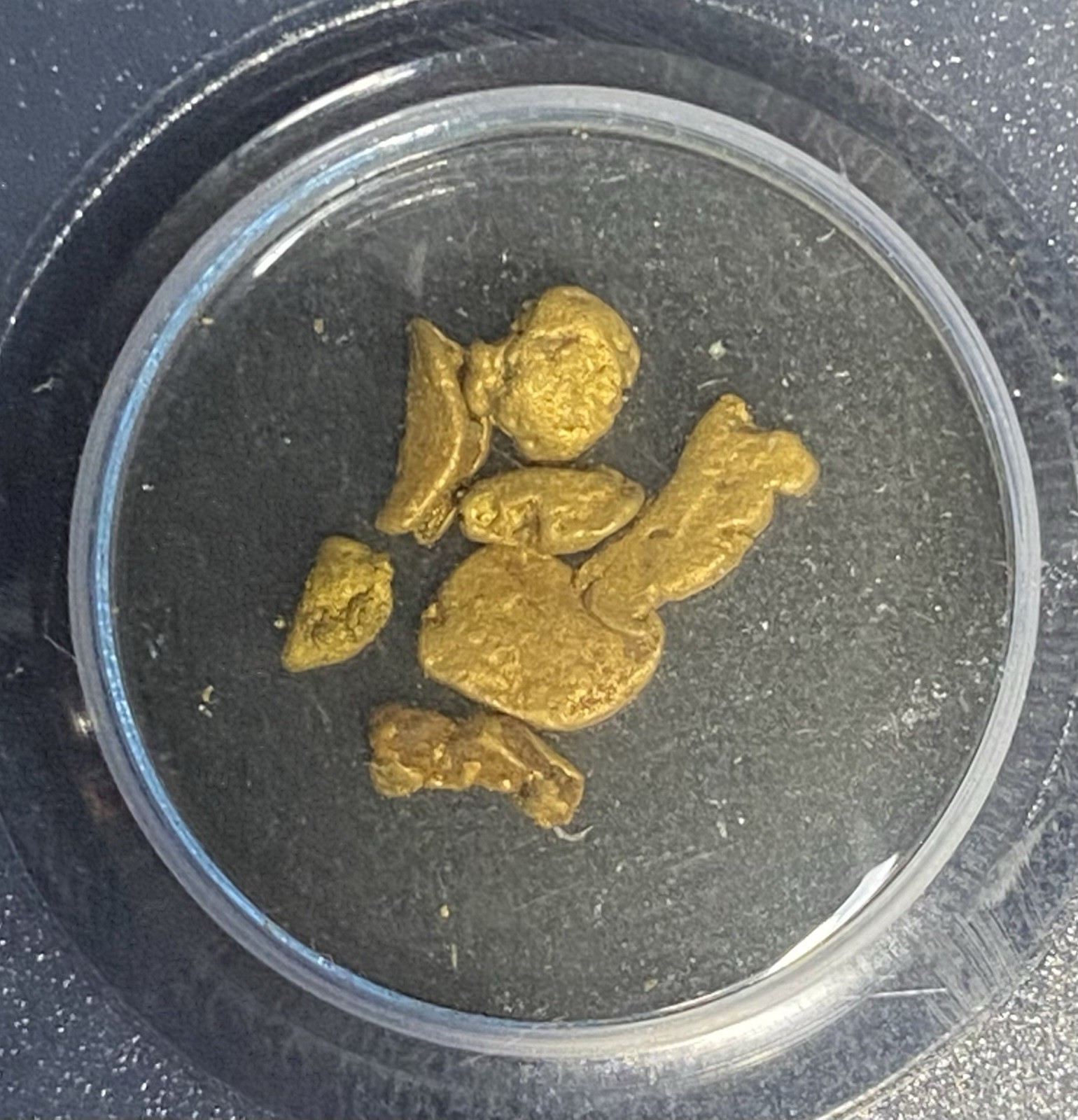 GOLD SS Central America SHIPWRECK 1857 SEA SALVAGED California Rush Nuggets PCGS