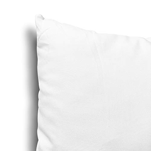 EDOW Throw Pillow Inserts, Set of 2 Lightweight Down Alternative Polyester